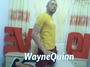 WayneQuinn