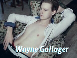 Wayne_Gallager