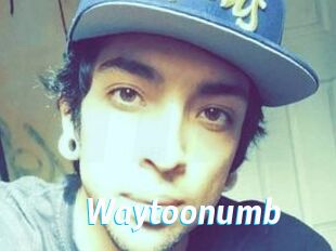 Waytoonumb