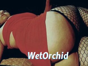WetOrchid