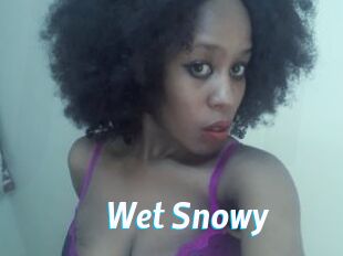 Wet_Snowy