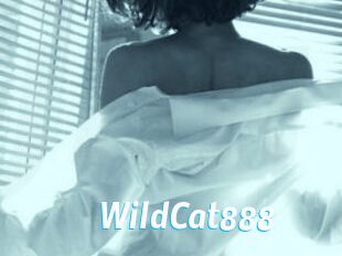 WildCat888