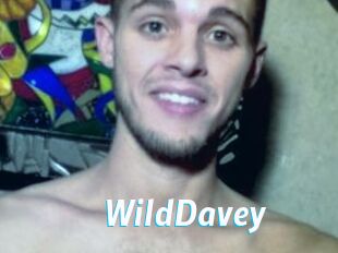 WildDavey