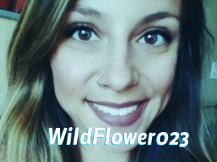 WildFlower023