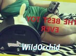 WildOrchid_