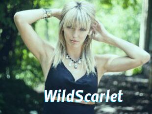 WildScarlet