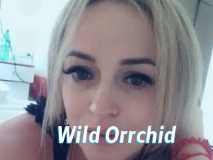 Wild_Orrchid