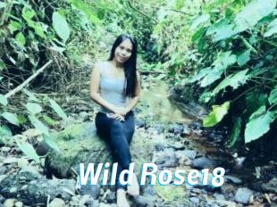 Wild_Rose18