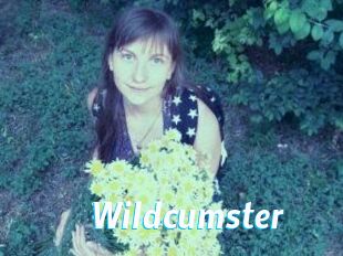 Wildcumster