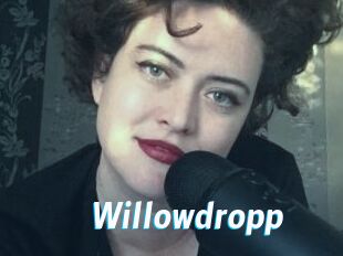 Willowdropp