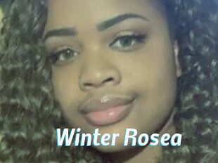 Winter_Rosea