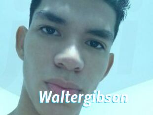 Waltergibson