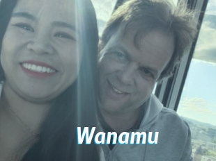 Wanamu