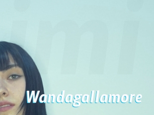 Wandagallamore