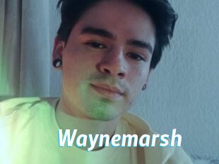 Waynemarsh