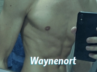 Waynenort