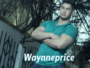 Waynneprice