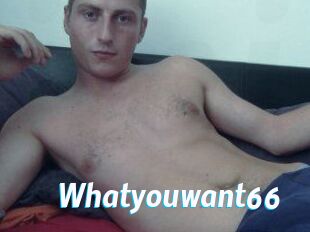 Whatyouwant66