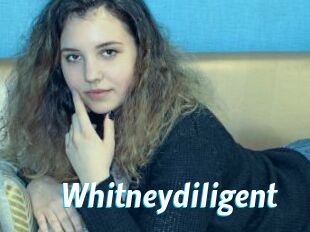 Whitneydiligent