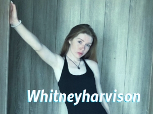 Whitneyharvison