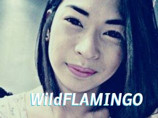 WildFLAMINGO