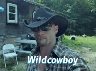 Wildcowboy