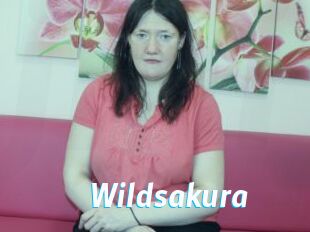 Wildsakura