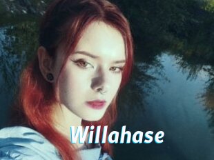 Willahase
