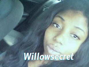 willow_secret J Mine