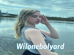 Wilonebolyard