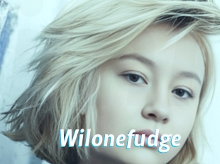 Wilonefudge