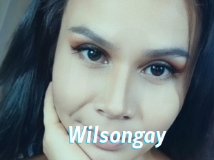 Wilsongay