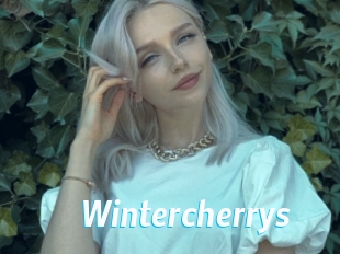Wintercherrys