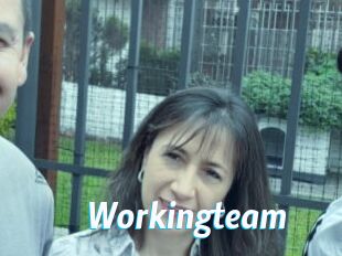 Workingteam