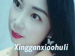 Xingganxiaohuli