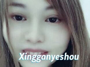 Xingganyeshou