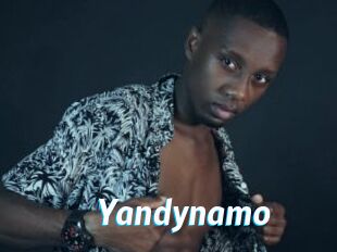 Yandynamo