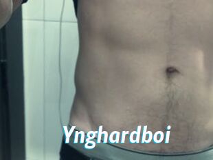 Ynghardboi