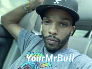 YourMrBull