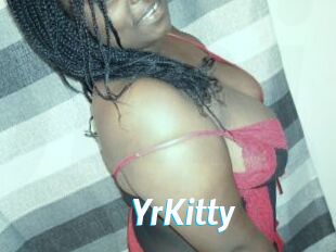 YrKitty