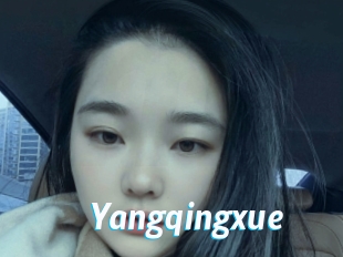 Yangqingxue