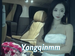 Yangqinmm