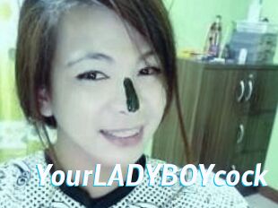 YourLADYBOYcock