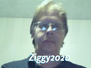 Ziggy2020