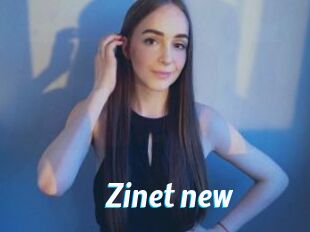 Zinet_new