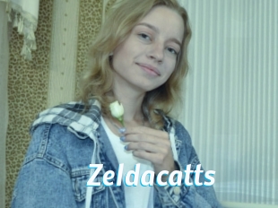 Zeldacatts