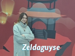 Zeldaguyse