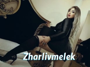 zharlivmelek J Mine