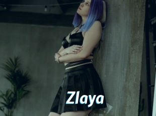 Zlaya