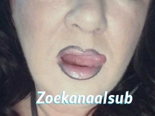 Zoekanaalsub